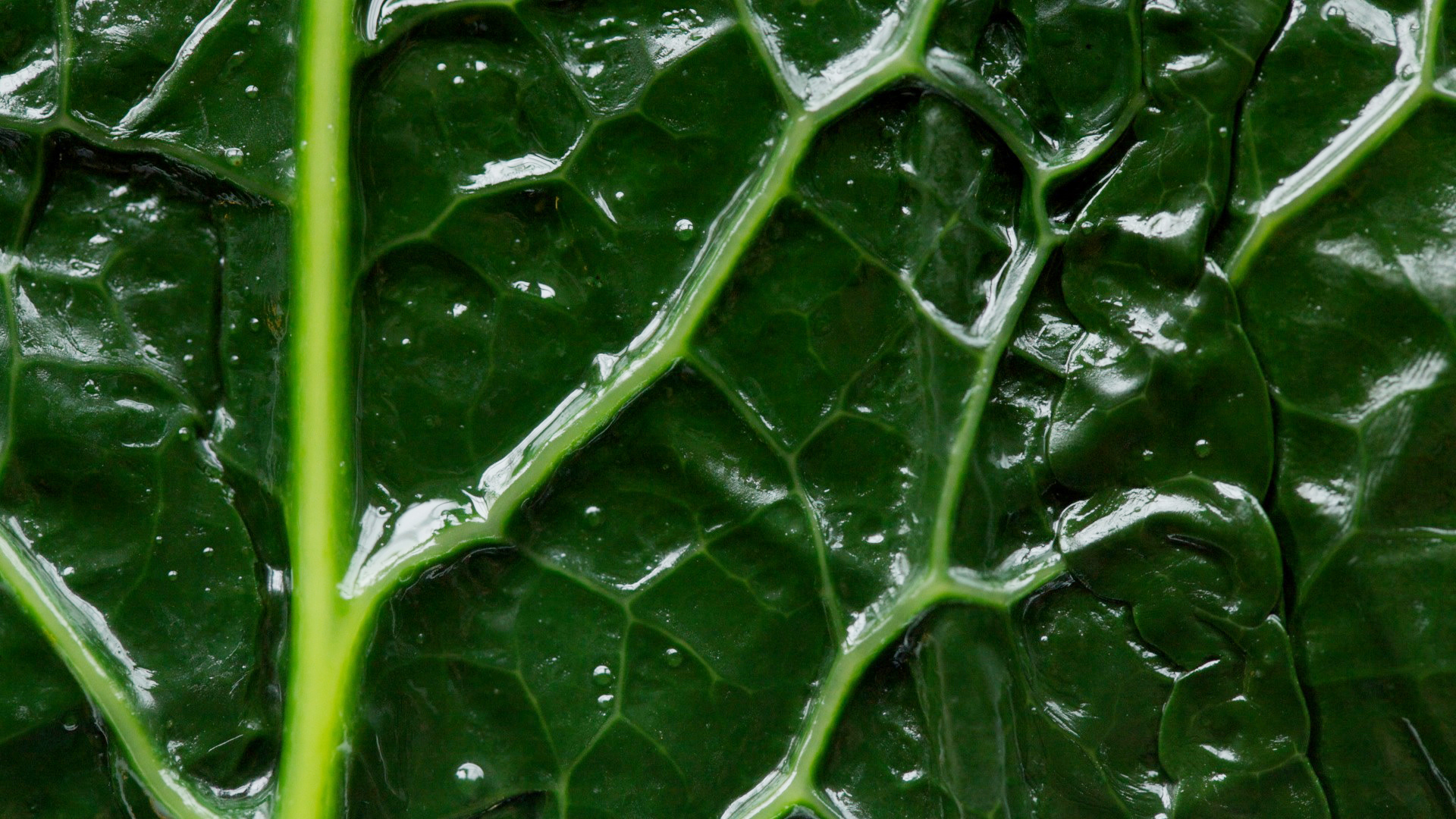 sous-vide-kale__hero-image__92e1741fdb.jpg