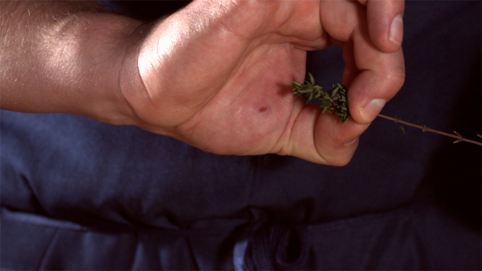 save-time-picking-thyme__hero-image__c555395c94.jpg