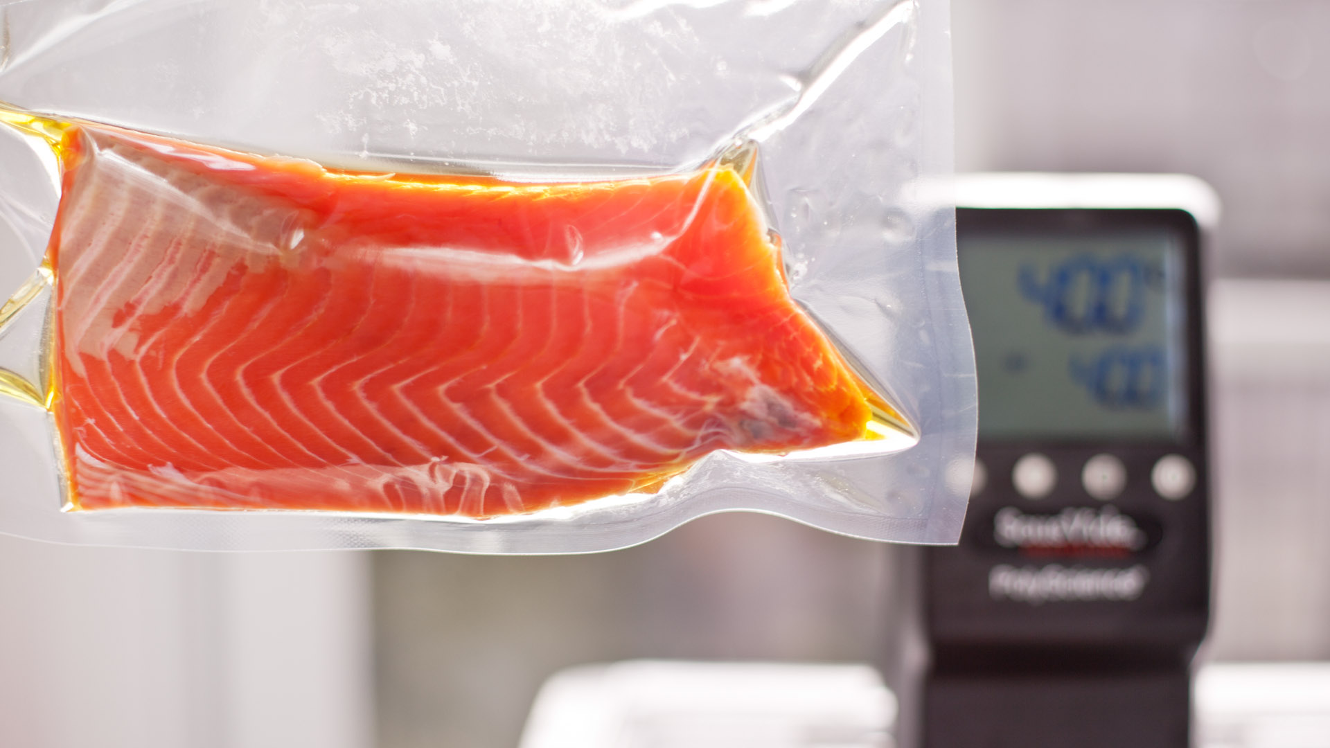 Salmon Mi-Cuit