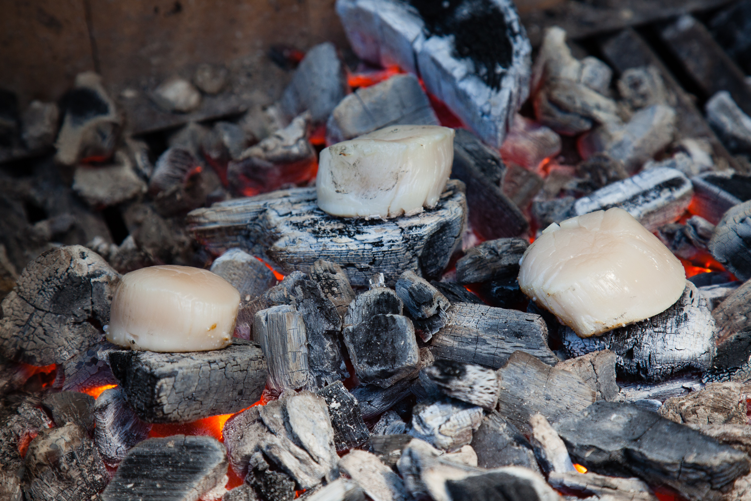 tips-tricks-searing-right-on-the-embers__hero-image.jpg