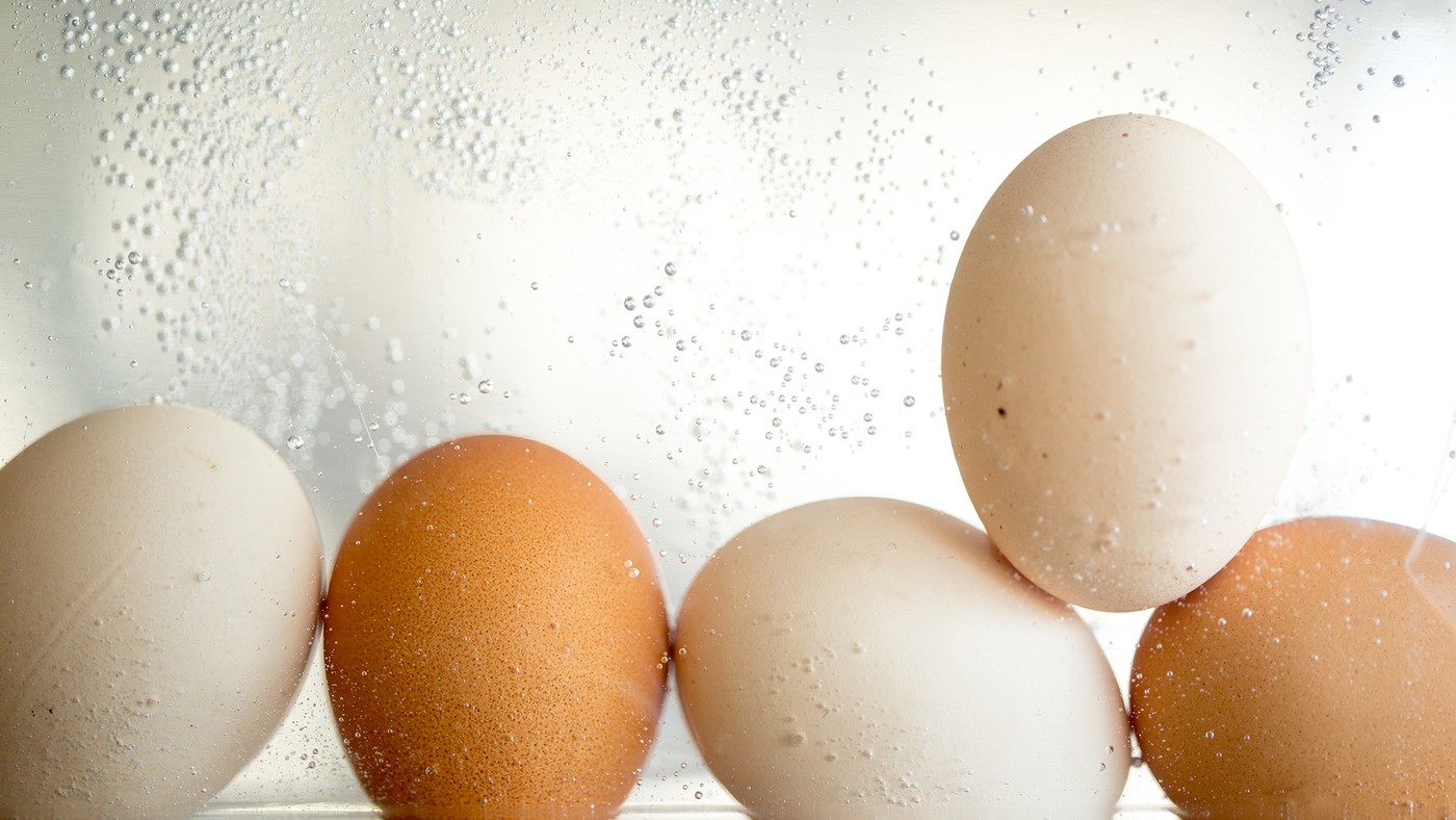 how-do-you-like-your-eggs__hero-image.jpg