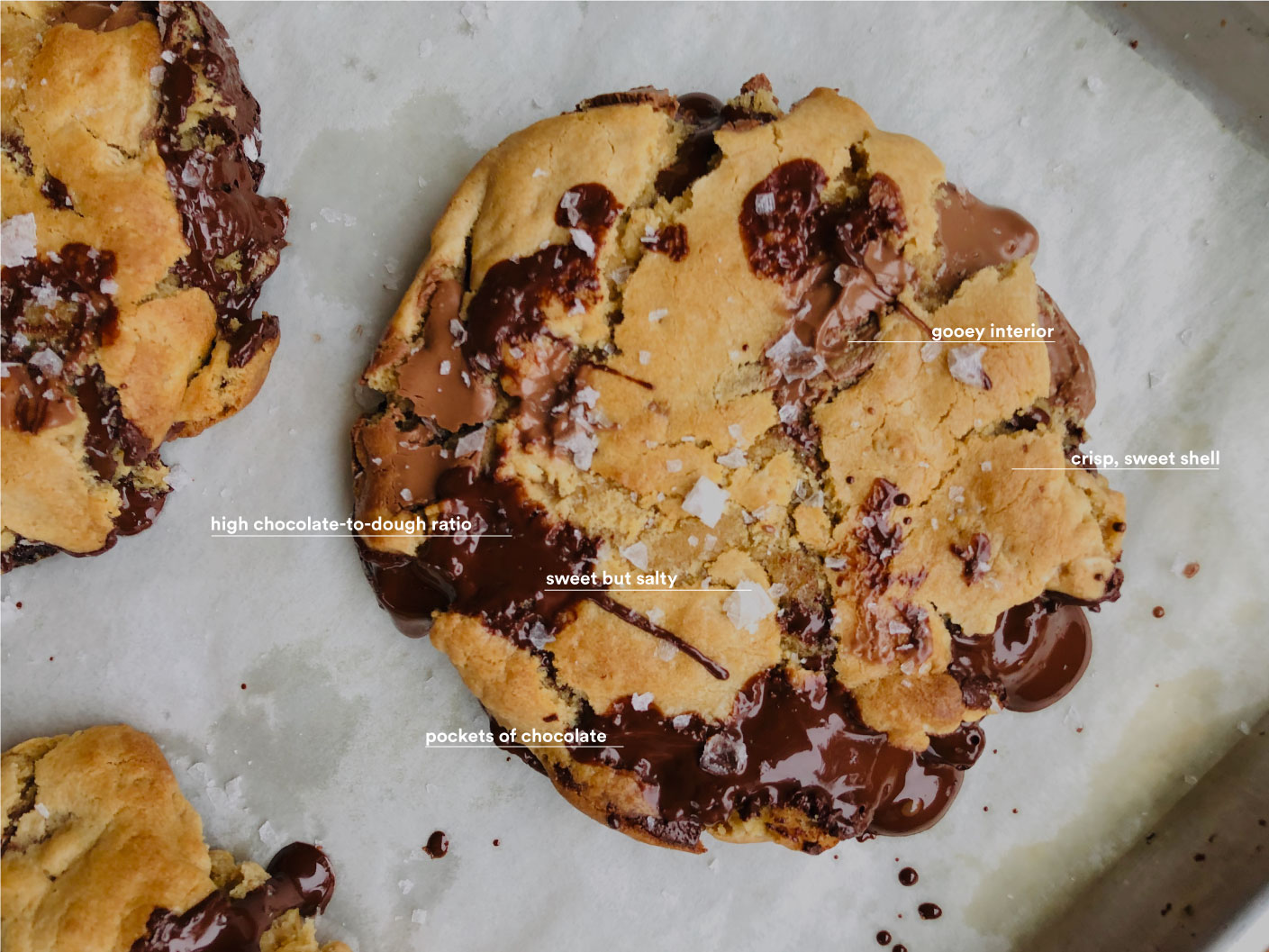 help-us-create-the-ultimate-chocolate-chip-cookie__hero-image.jpg