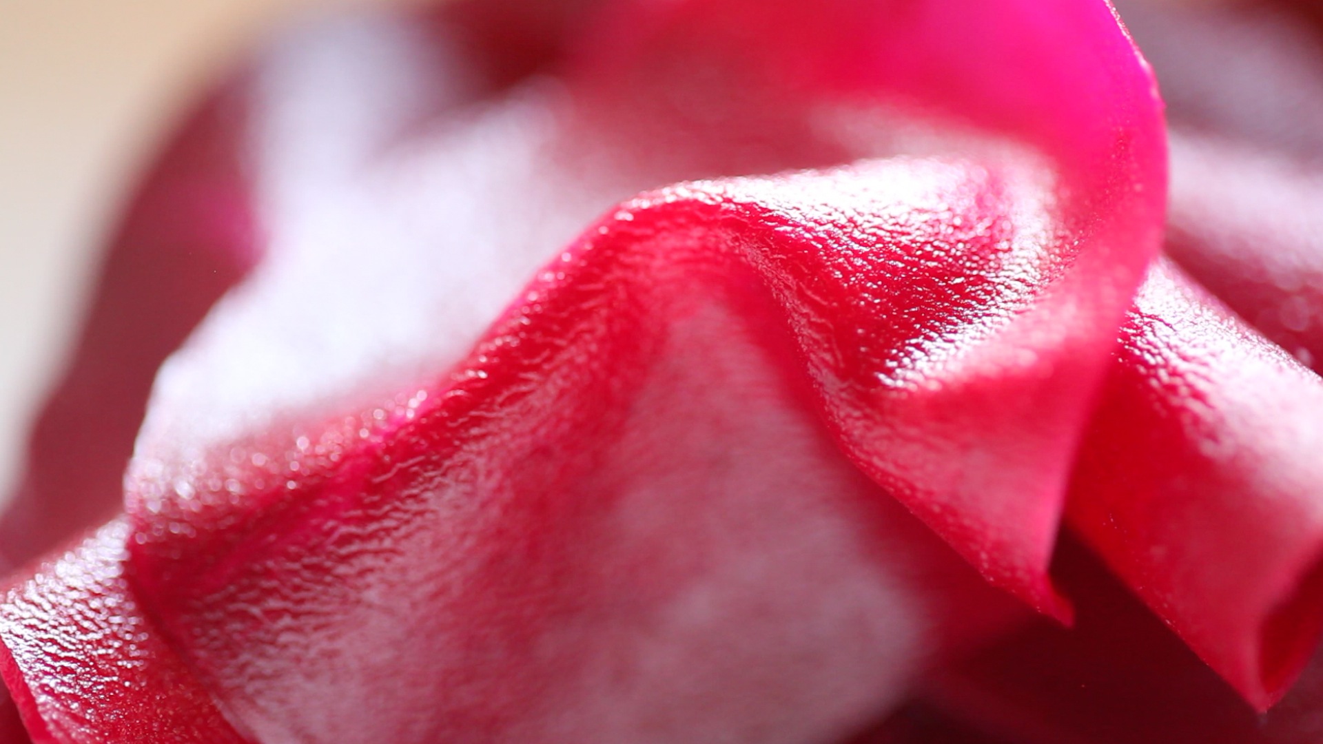 pickled-beets__hero-image__4dd3270a69.jpg