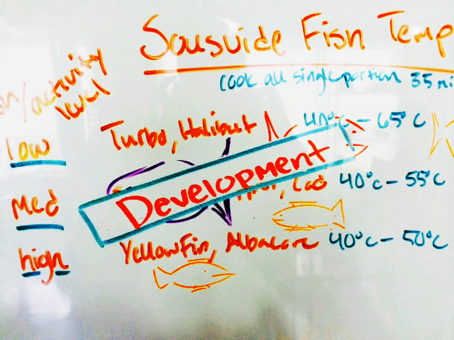 fish-time-temps__hero-image.jpg