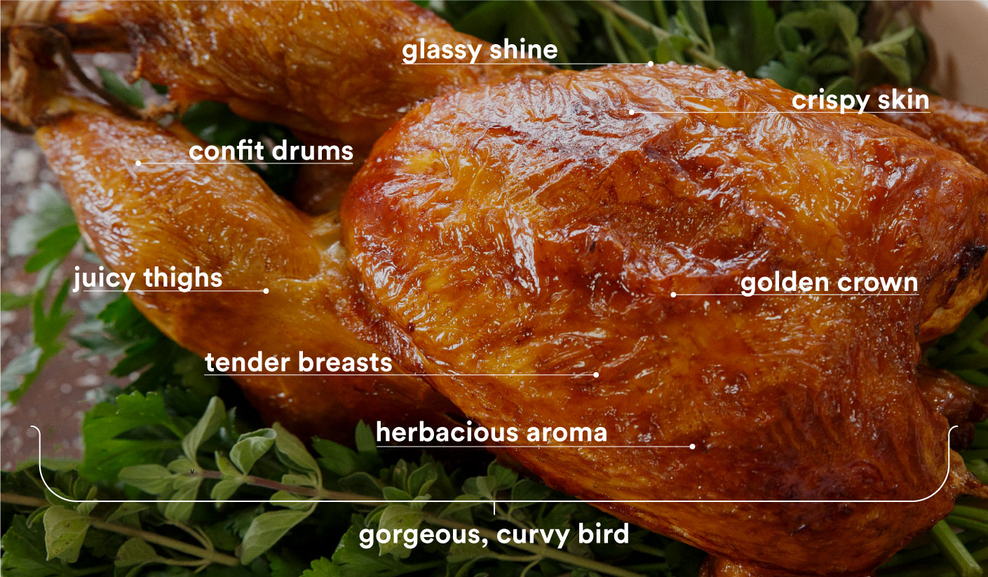 help-us-create-the-ultimate-roast-chicken__hero-image.jpg