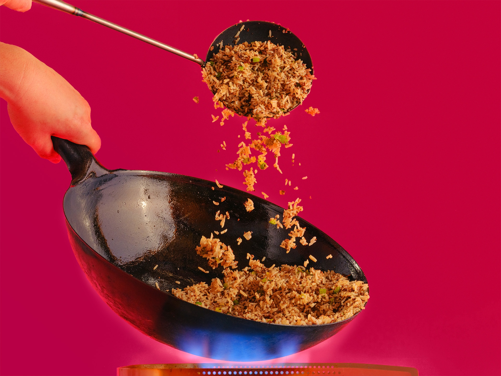 dirty-fried-rice__hero-image.jpg