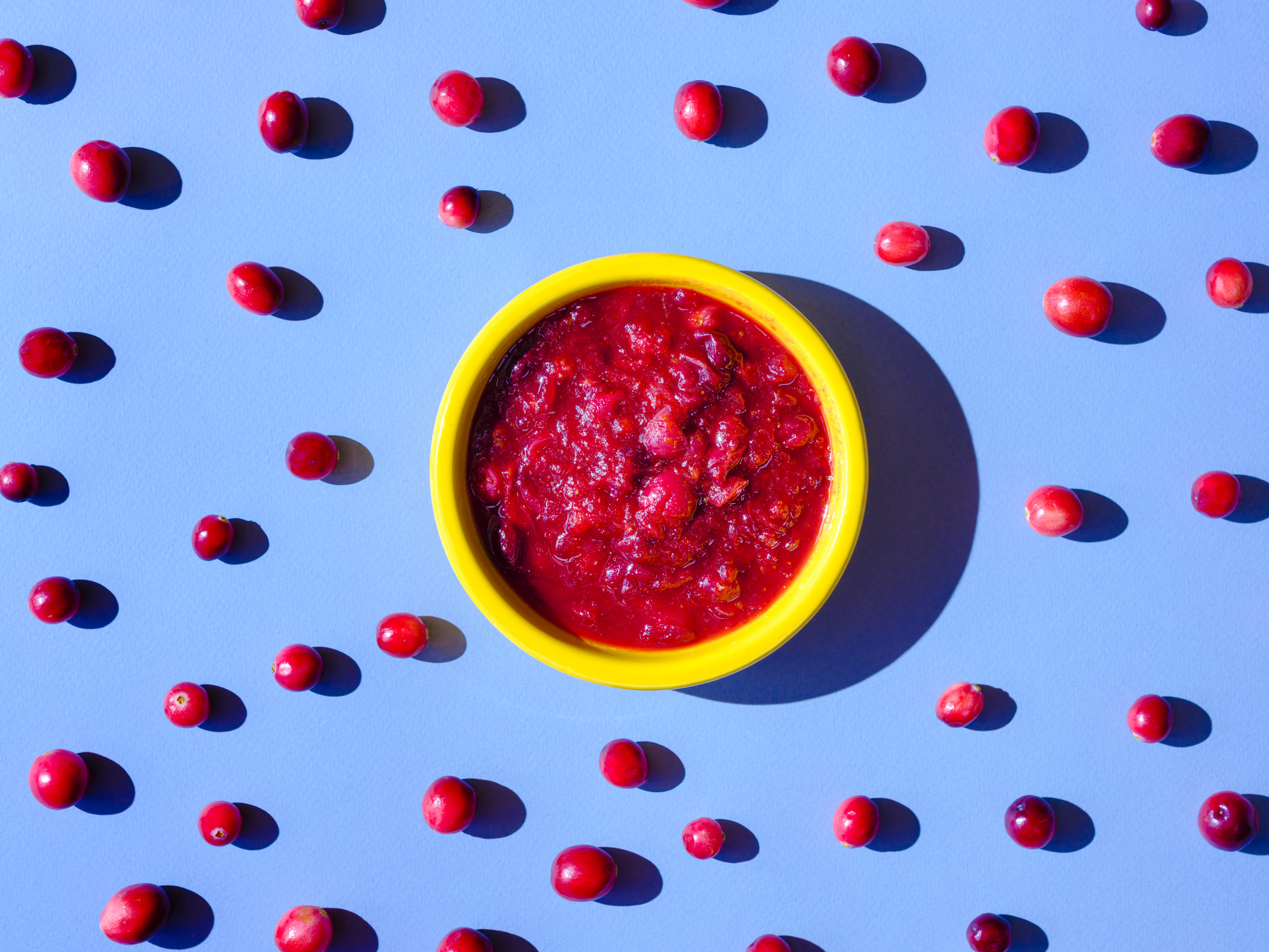 thanksgiving-cranberry-yakitori-glaze__hero-image.jpg