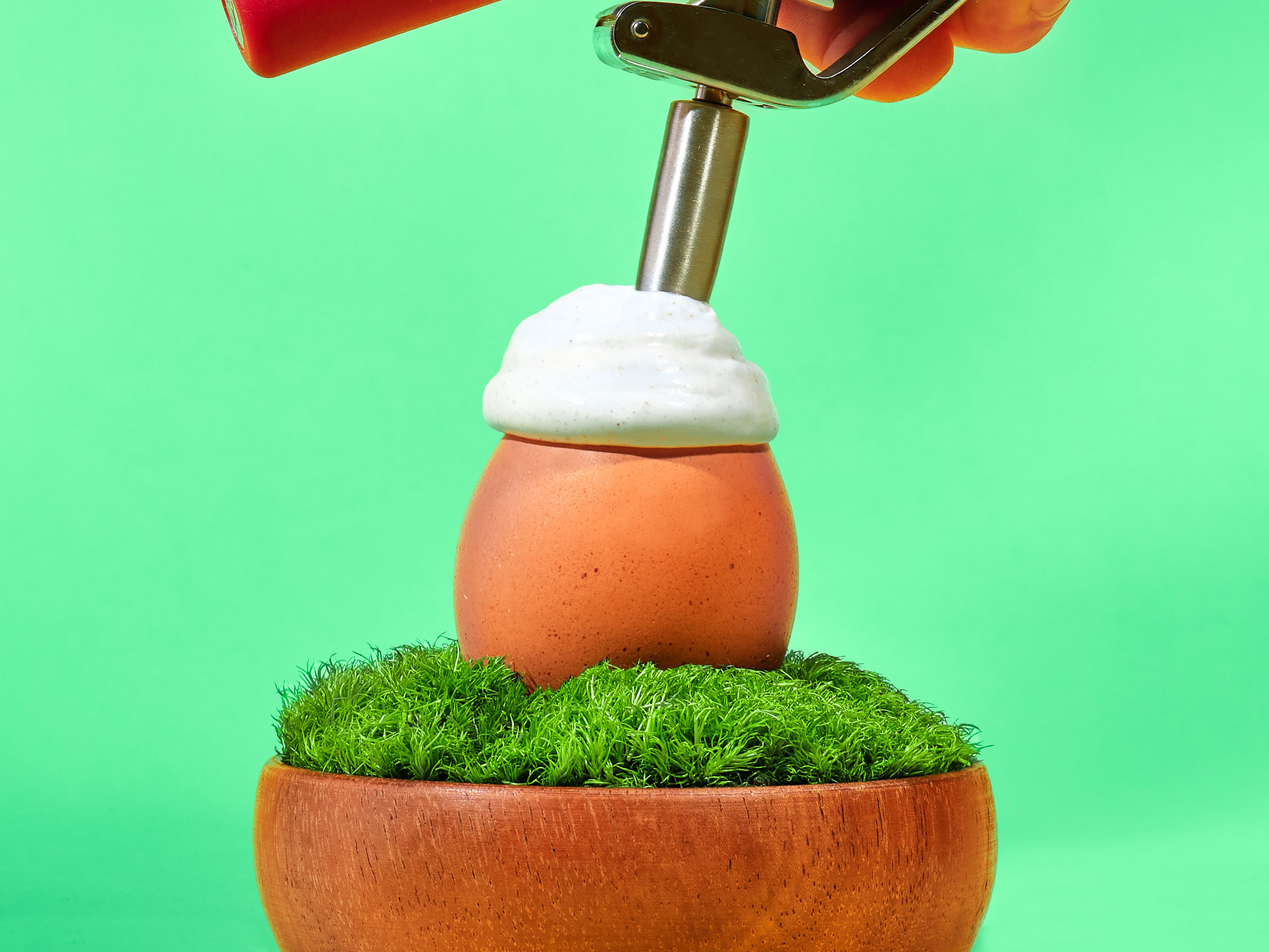 fried-egg-white-foam__hero-image.jpg