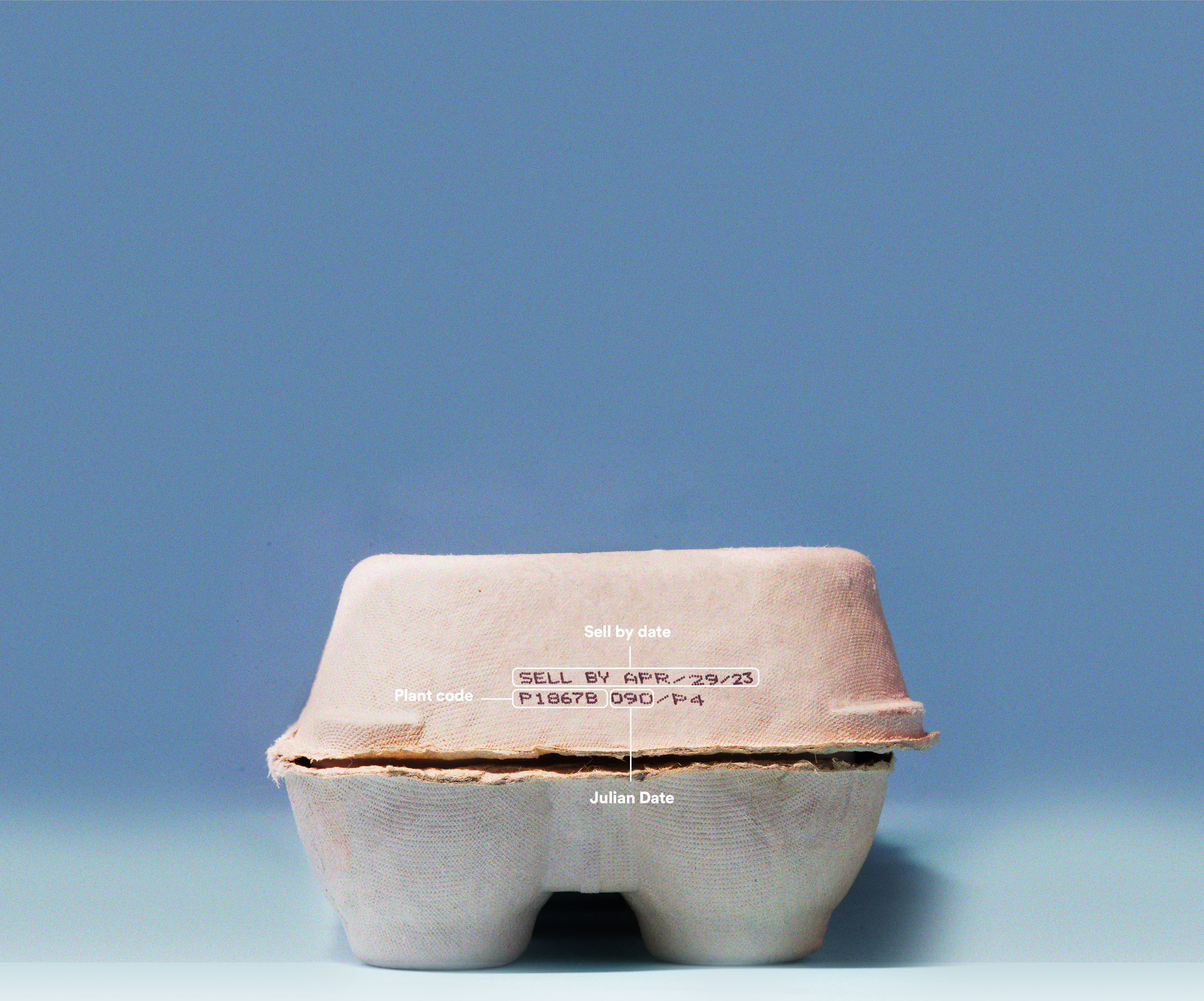 egg-carton-decoder__hero-image.jpg