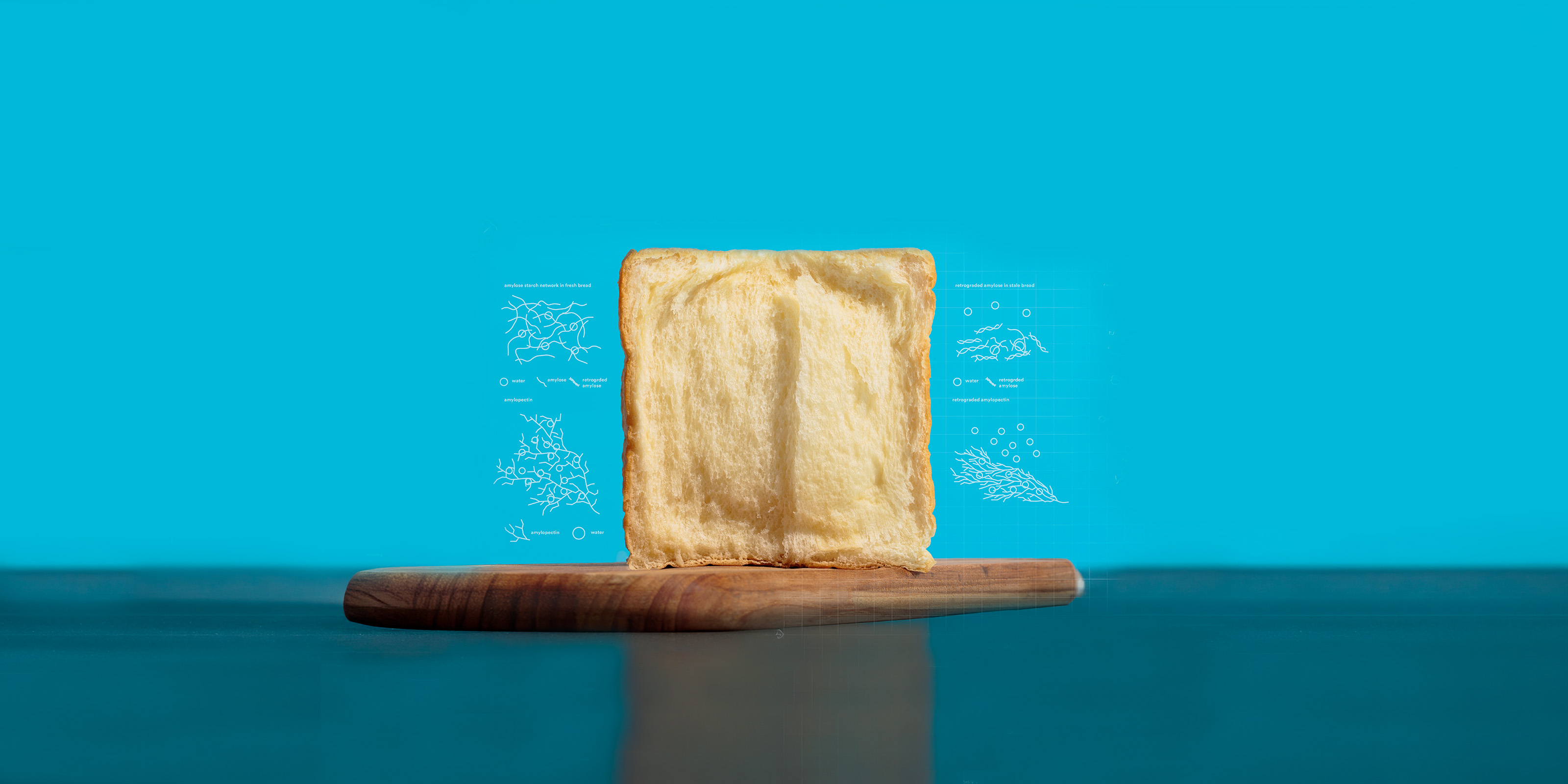 cs_guides-tools-listing-food-science_hero.jpg