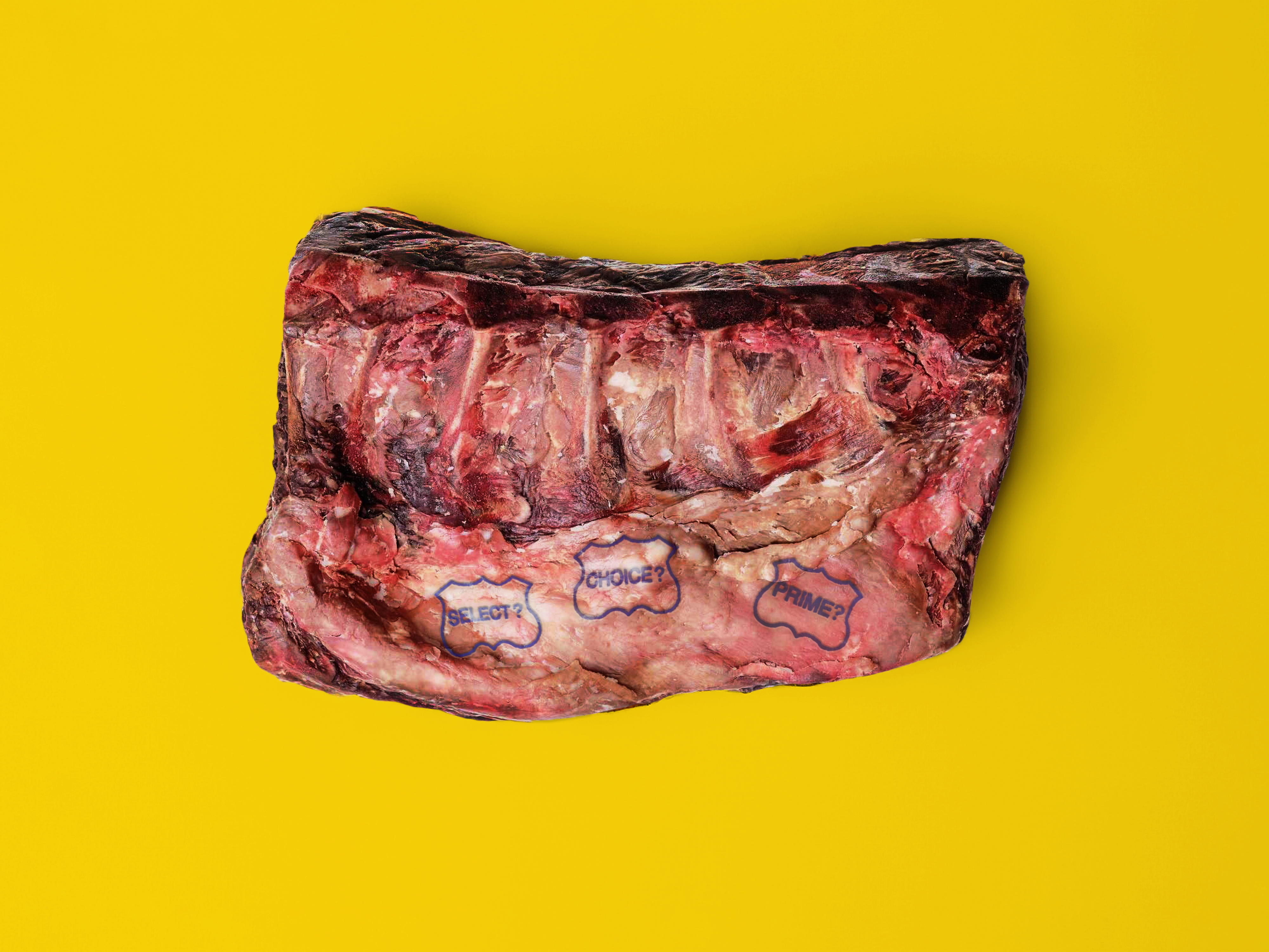 decoding-beef-labeling__hero-image.png