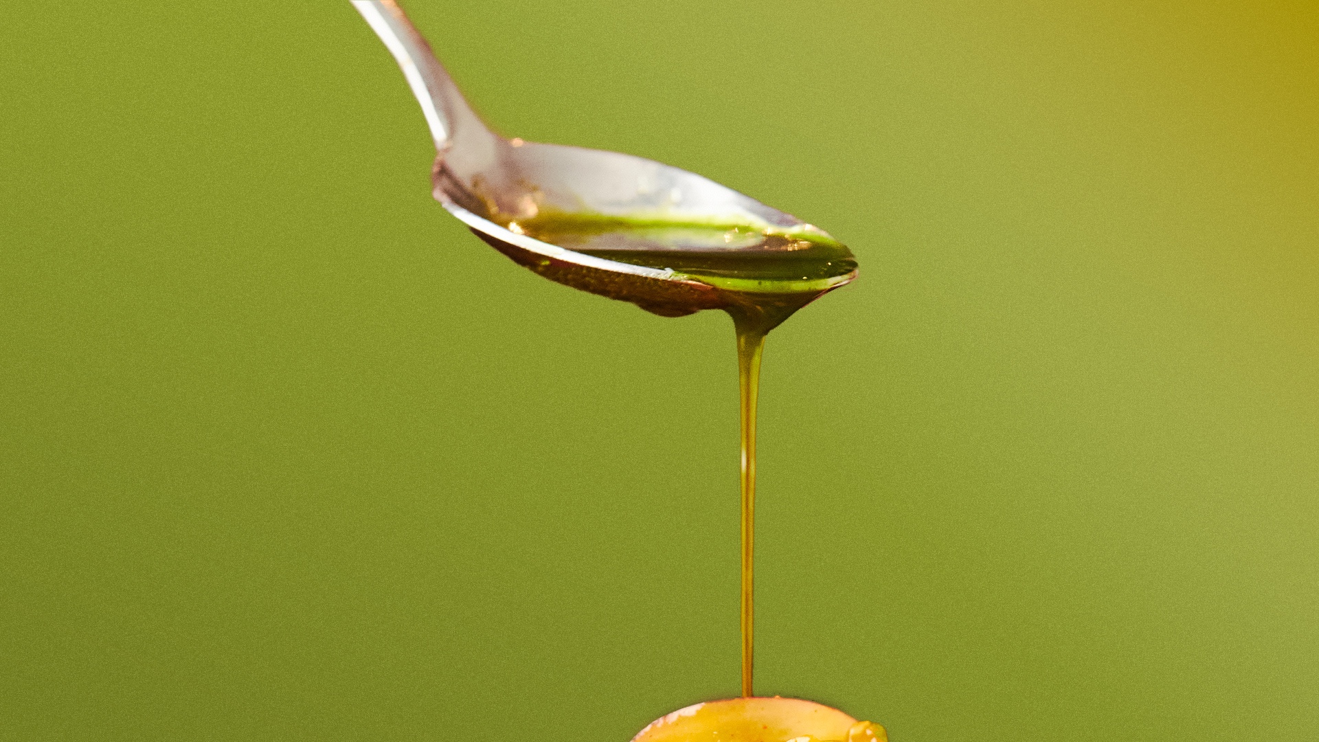 hoja-santa-oil__hero-image.jpg