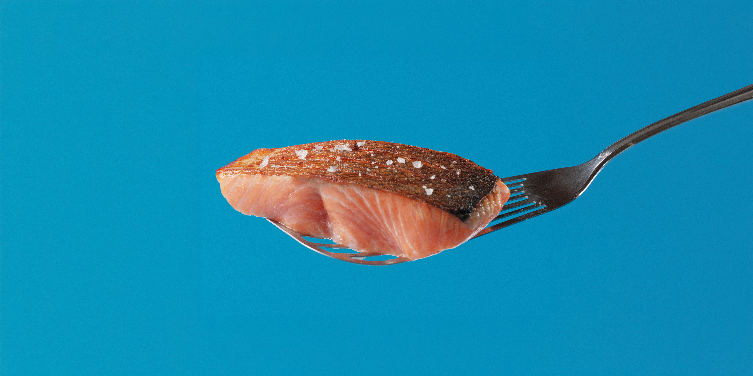 cs_recipes-listing-fish-seafood_hero.jpg