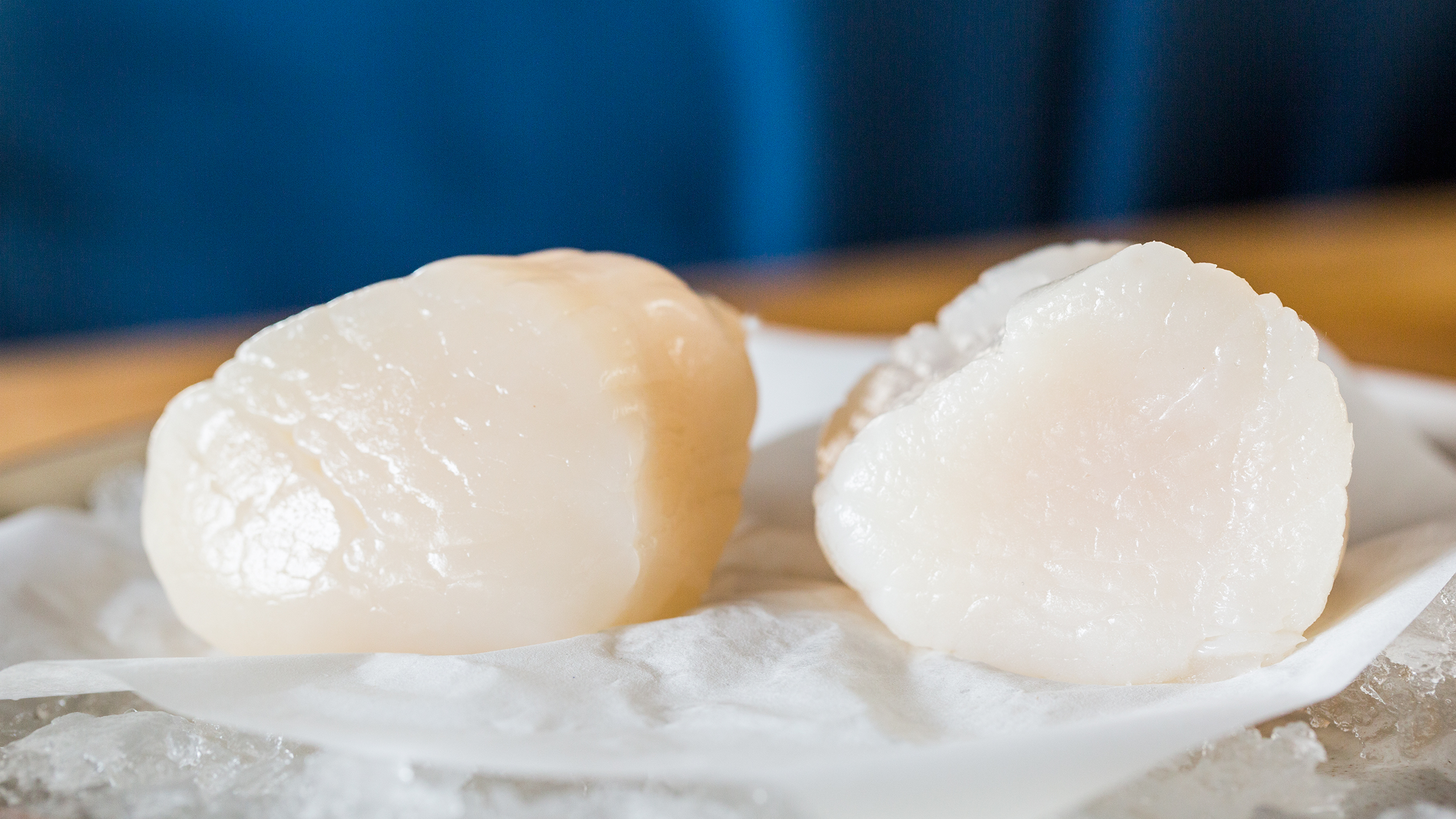 shopping-tips-how-to-buy-fresh-scallops__hero-image.jpg