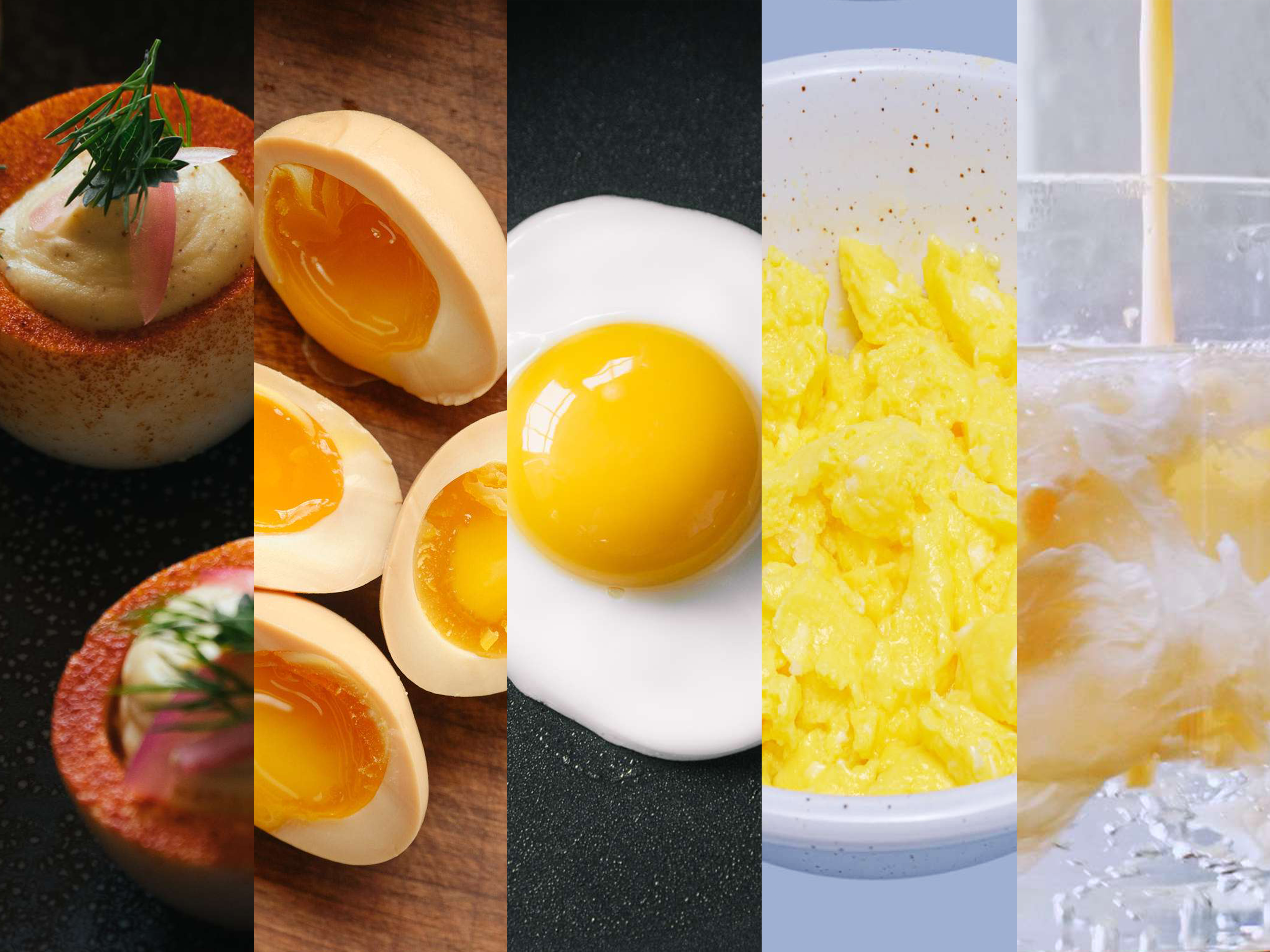 the-egg-hub__hero-image.png