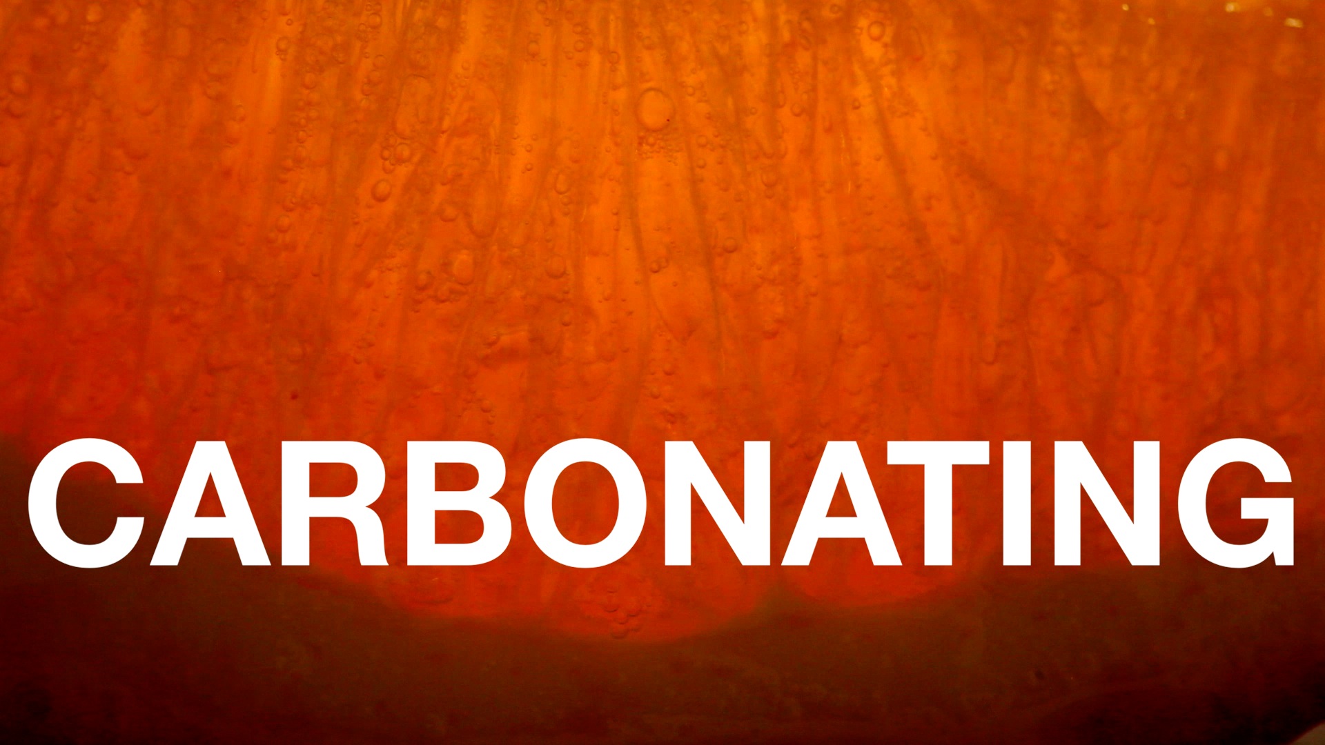 intro-to-carbonating__hero-image.jpg