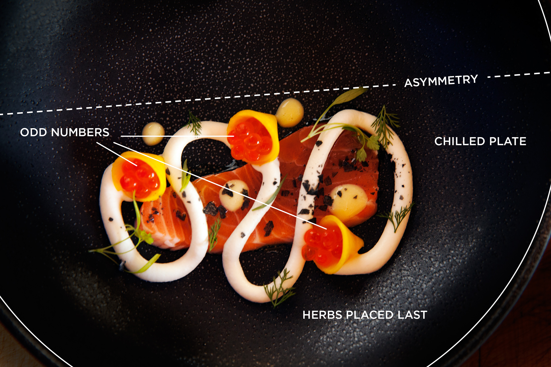 Salmon Crudo