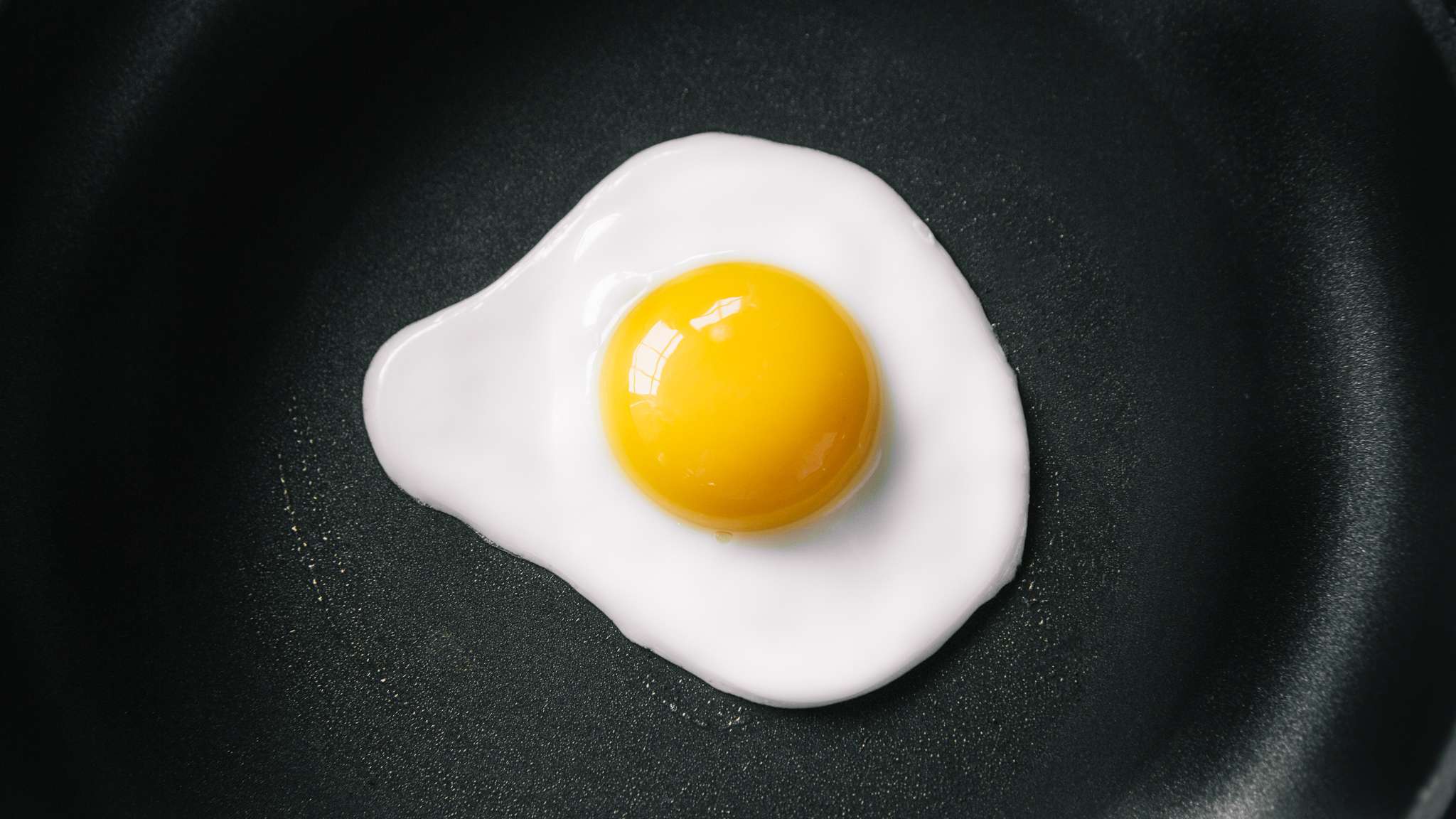 Eggstravaganza!