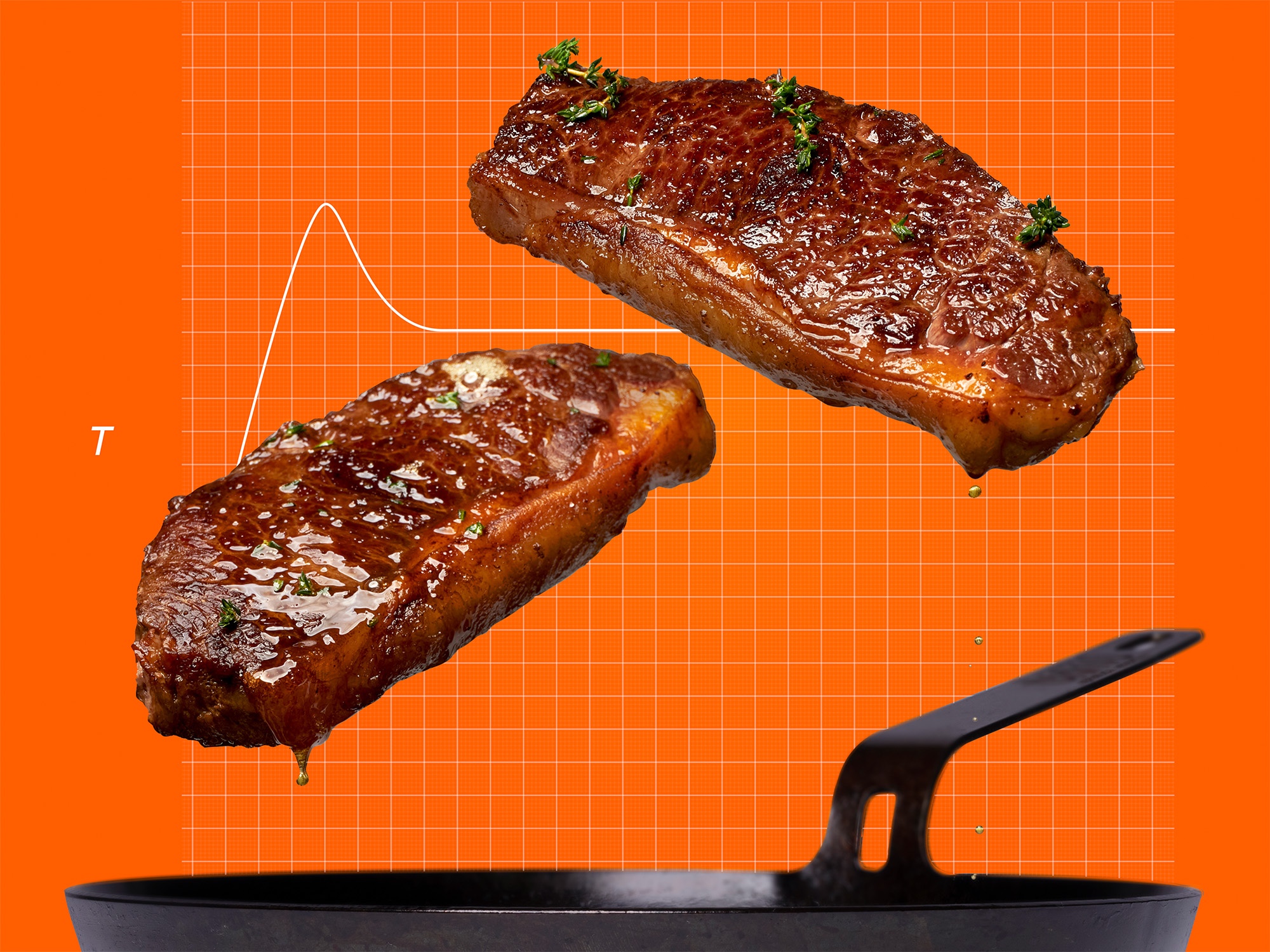 precision-pan-seared-steak__hero-image.jpg