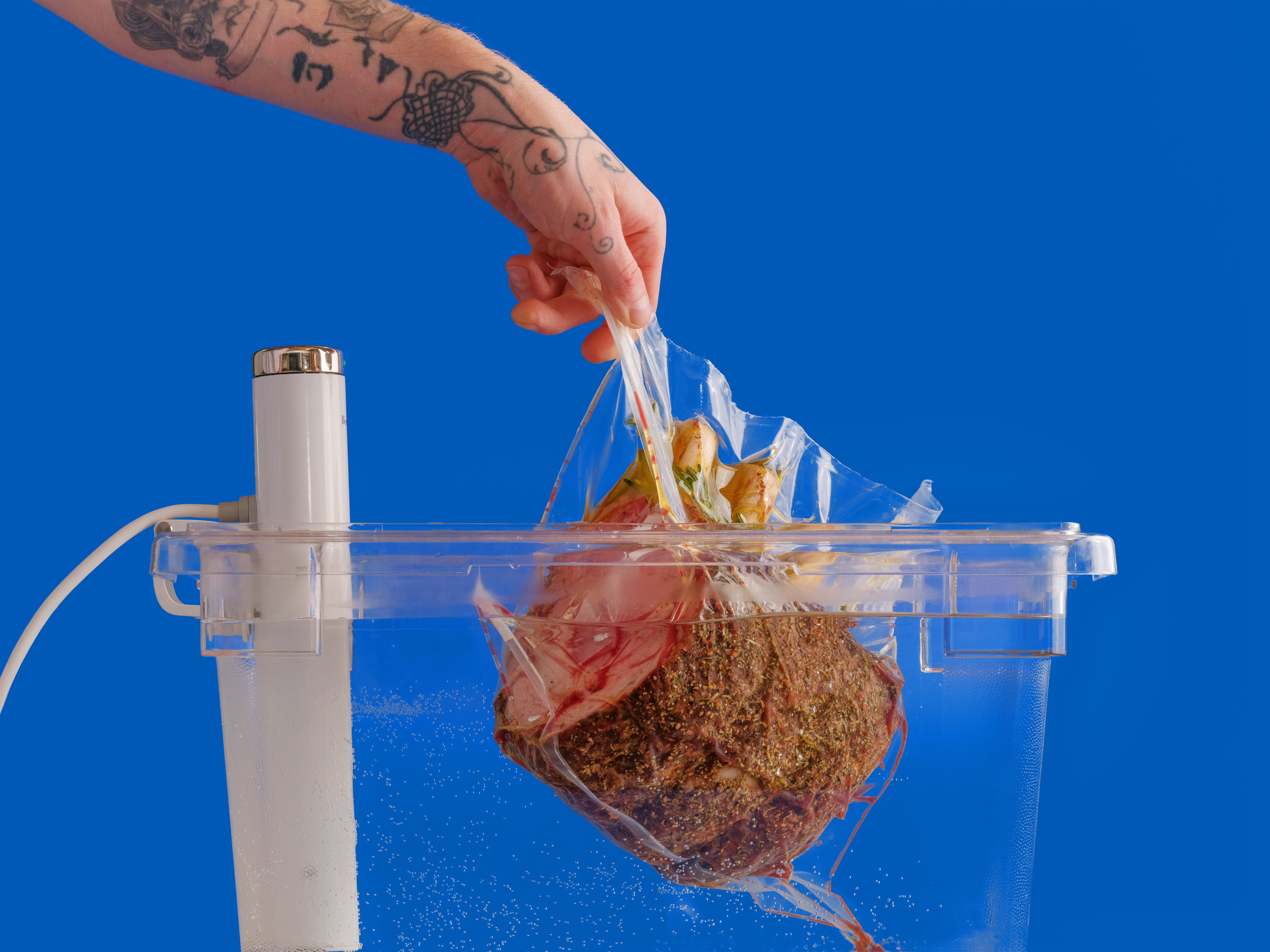 sous-vide-a-simple-and-stress-free-way-to-reheat-almost-anything__hero-image.jpg