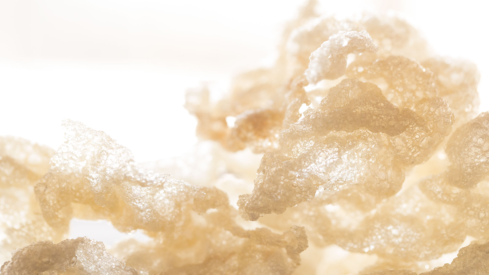 fried-tendon-puffs__hero-image__c88a237390.jpg