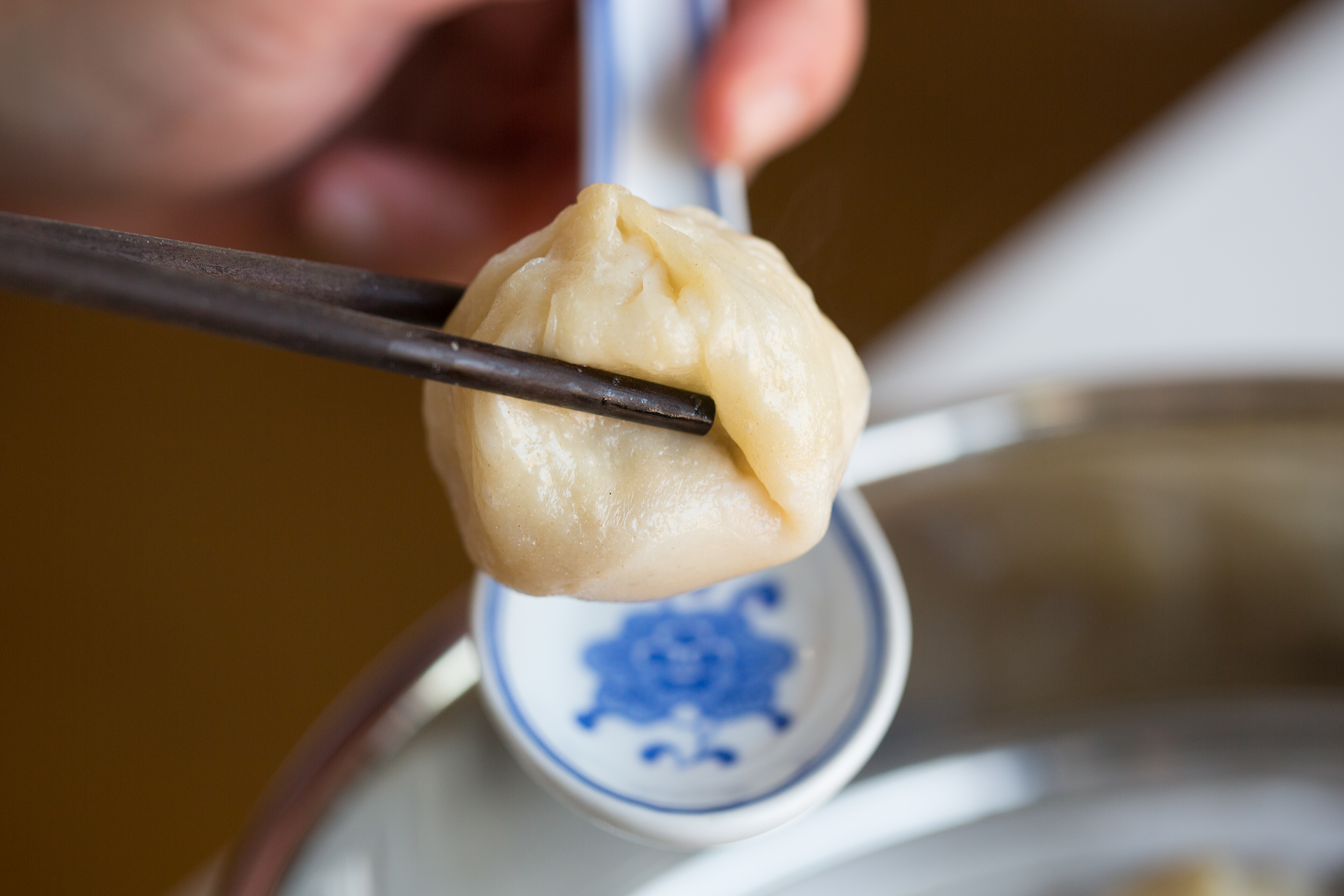 how-to-make-shanghai-soup-dumplings-with-andrea-nguyen__hero-image__12367a19bd.jpg