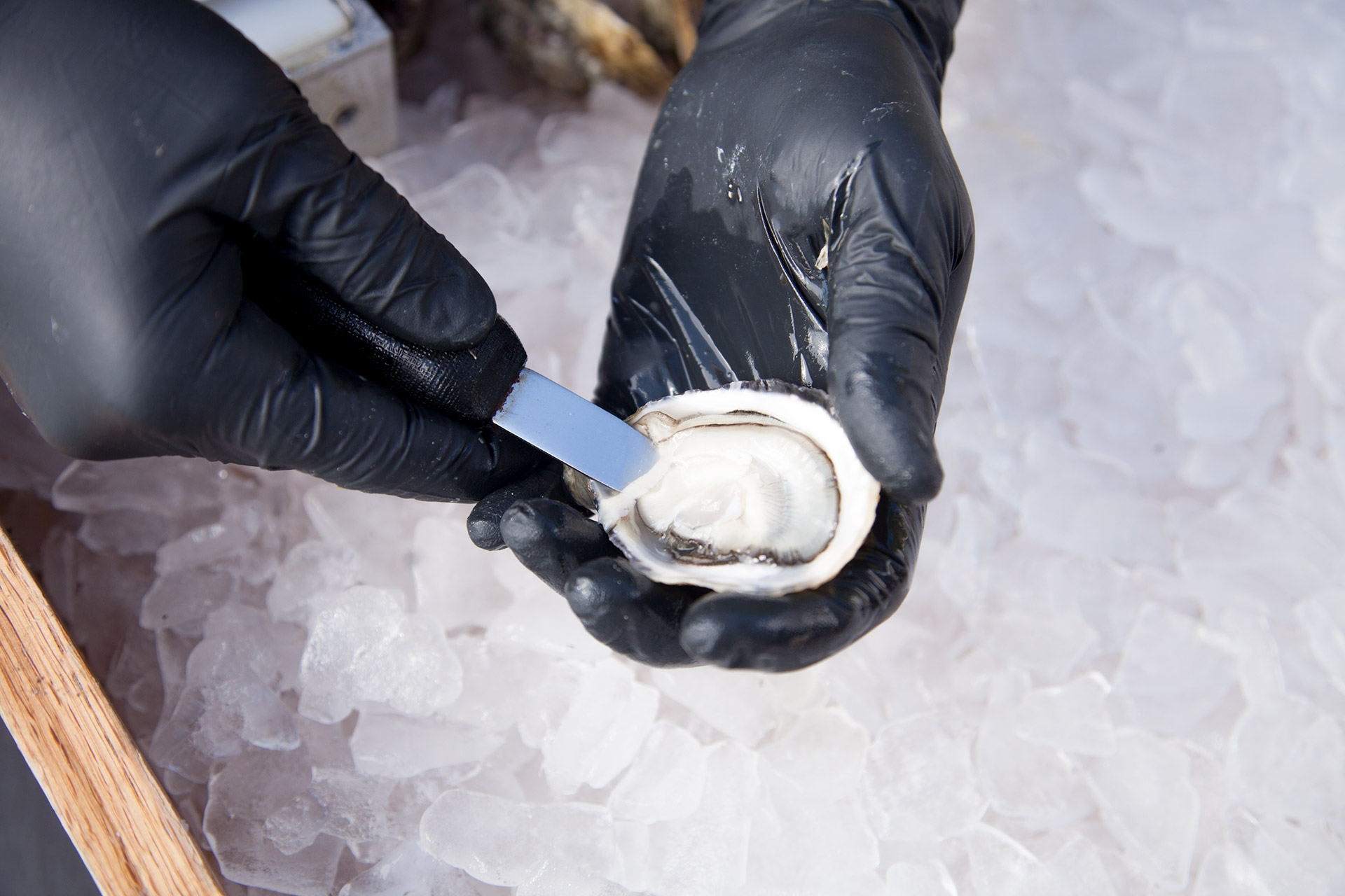 how-to-shuck-oysters-like-a-pro-with-marco-pinchot-of-taylor-shellfish__hero-image.jpg