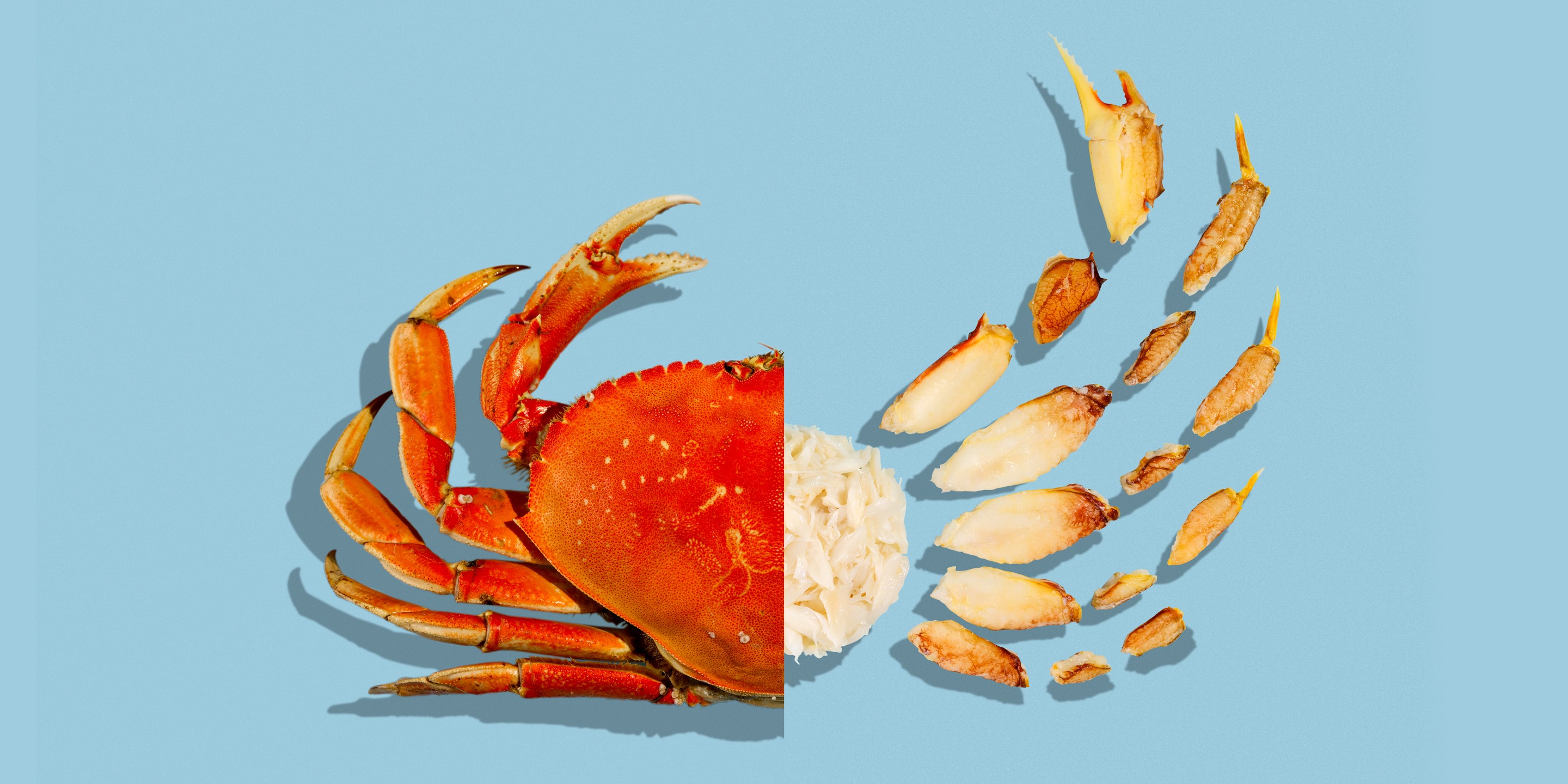 dungeness-crab-guide__hero-image.jpg