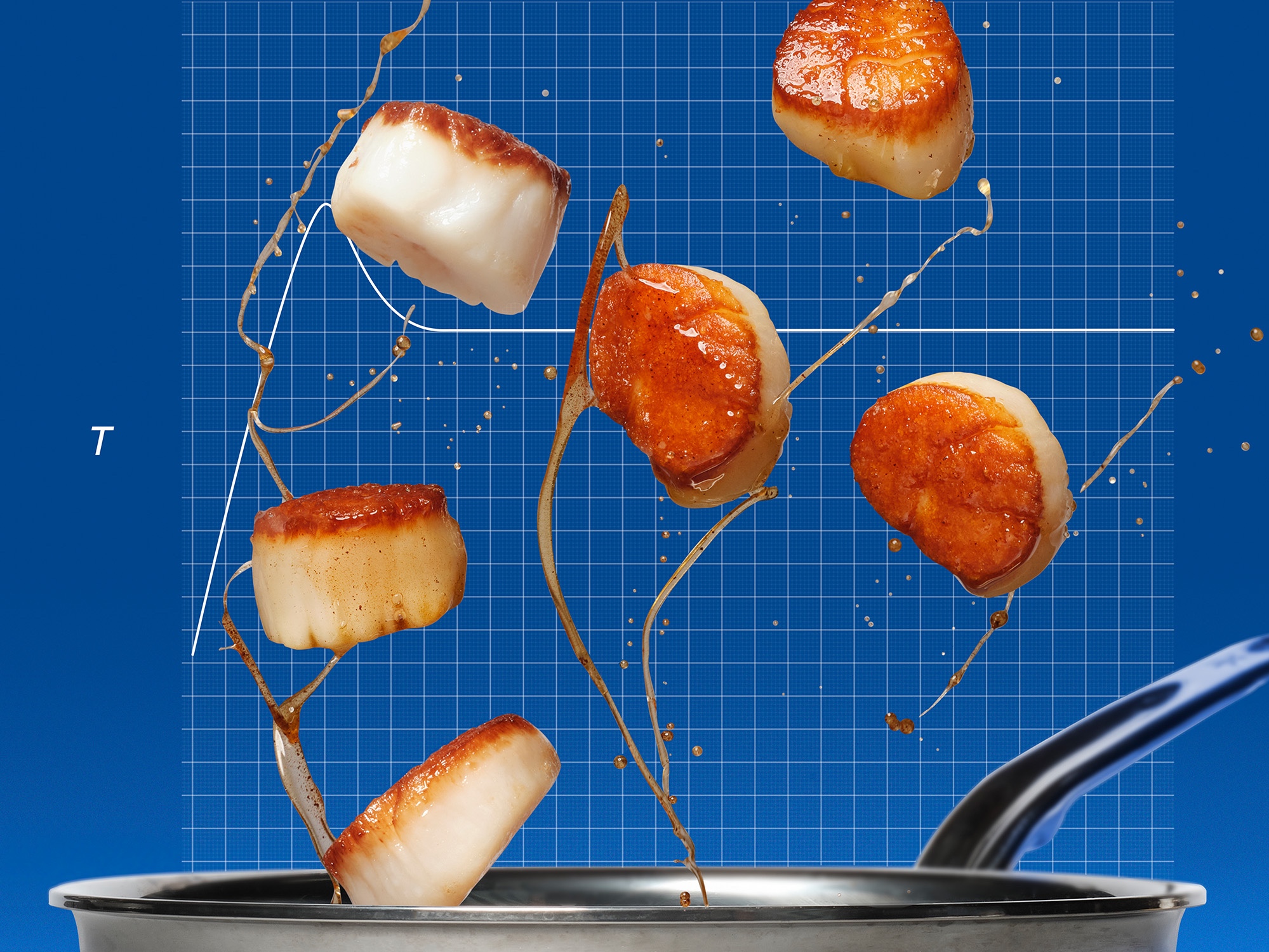 precision-pan-seared-scallops__hero-image.jpg