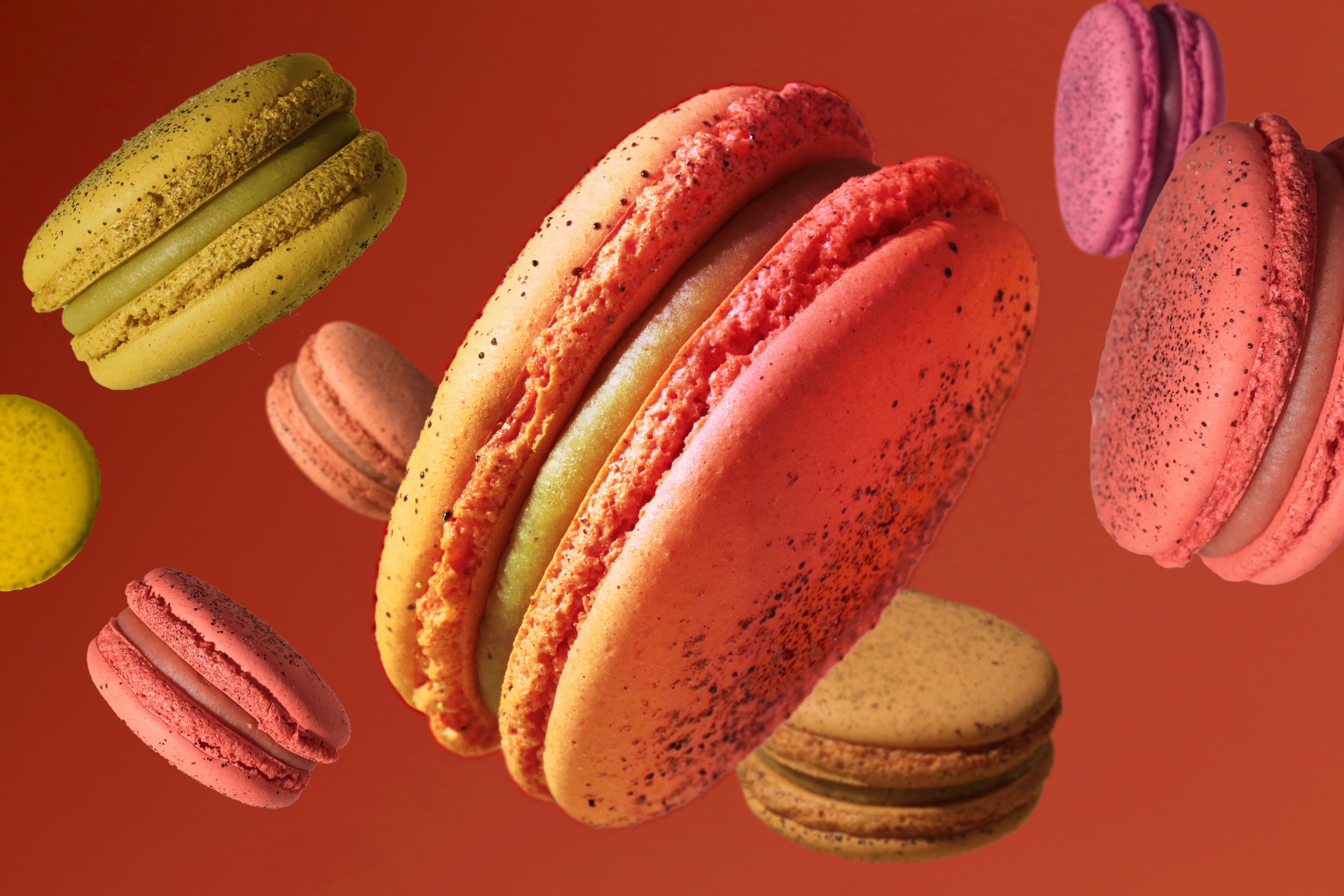 adding-color-to-macaron-cookies__hero-image.jpg