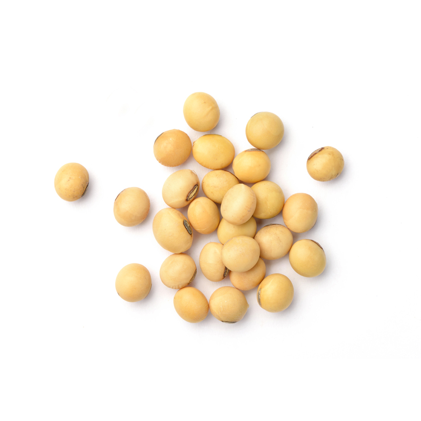 organic dried soybeans icon