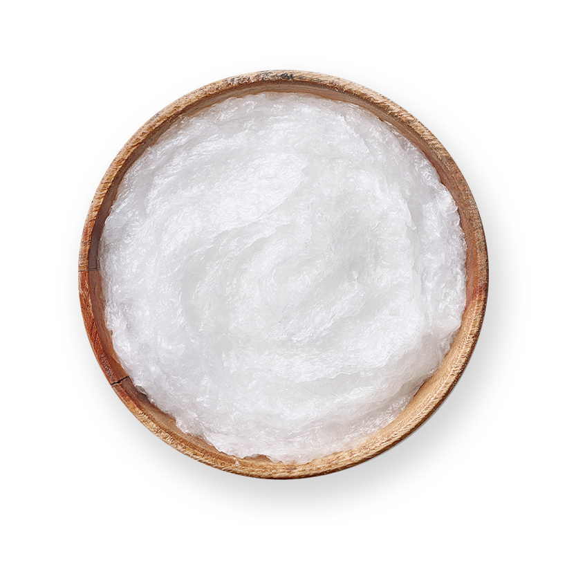 coconut oil icon