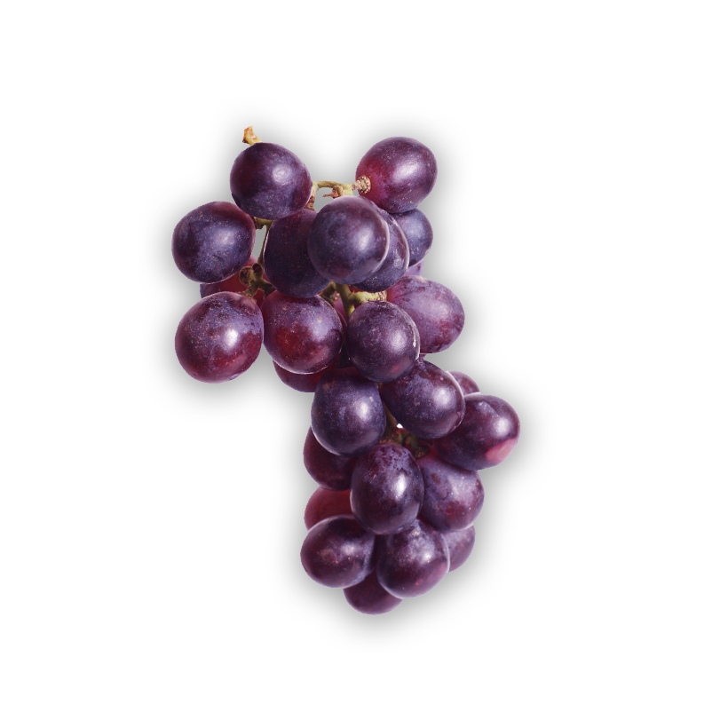 seedless red grape icon