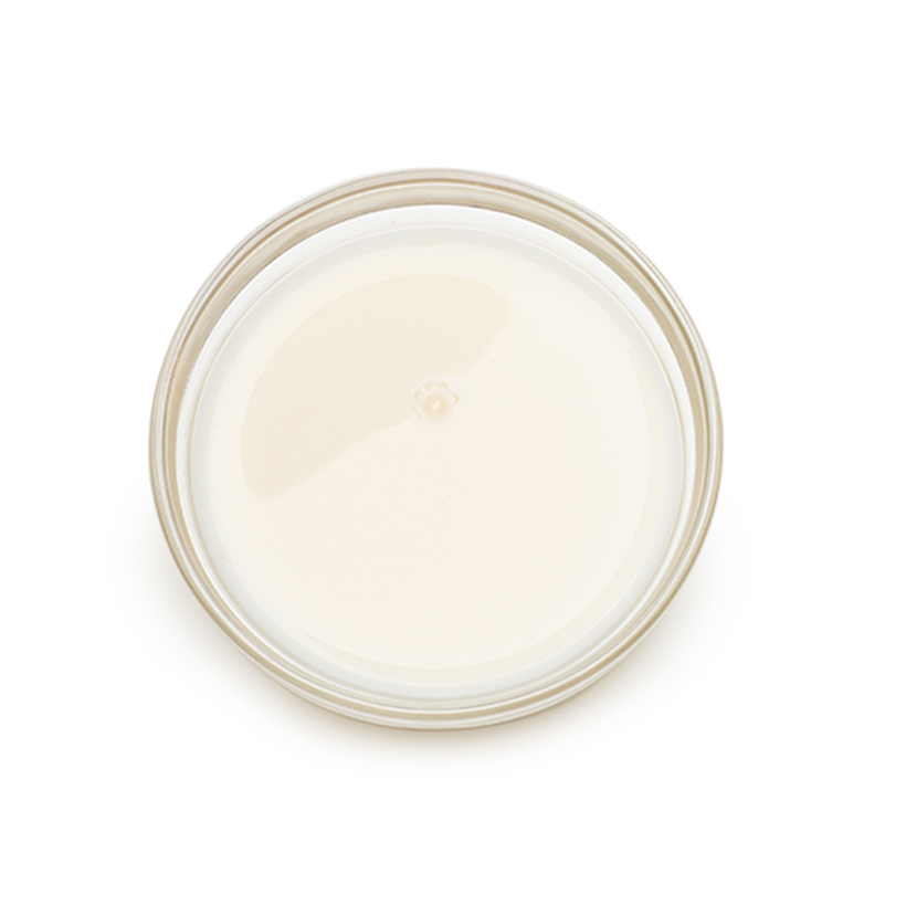 chilled unsweetened almond milk icon