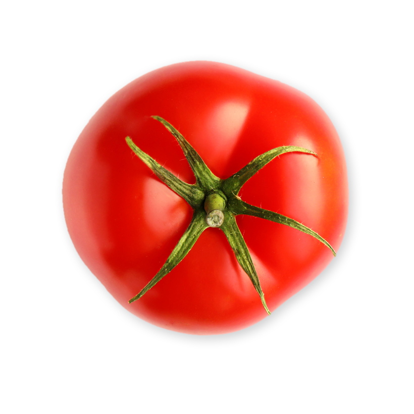 Tomate icon