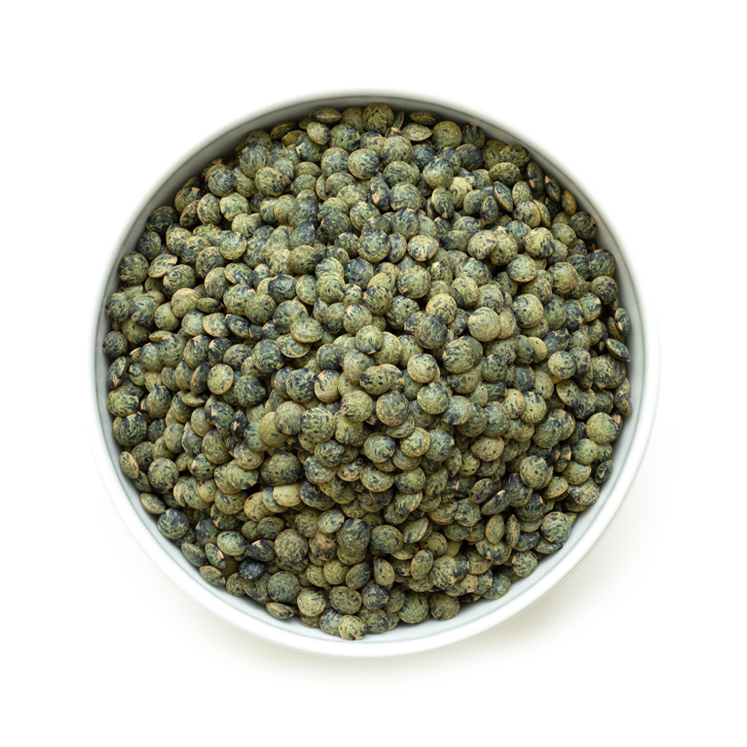 dried French green lentils icon