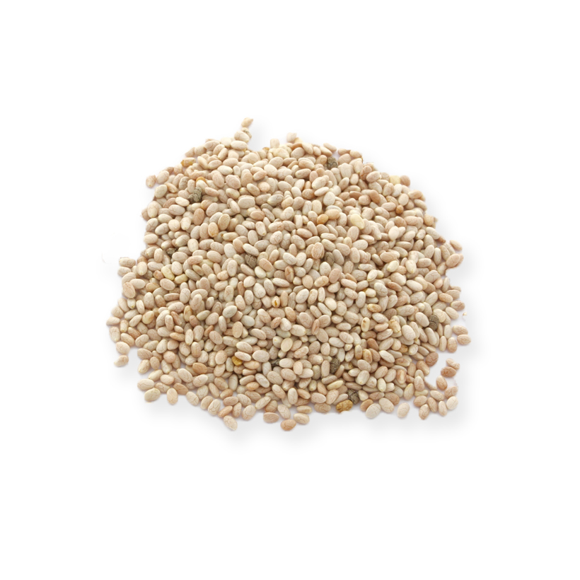 white chia seeds icon