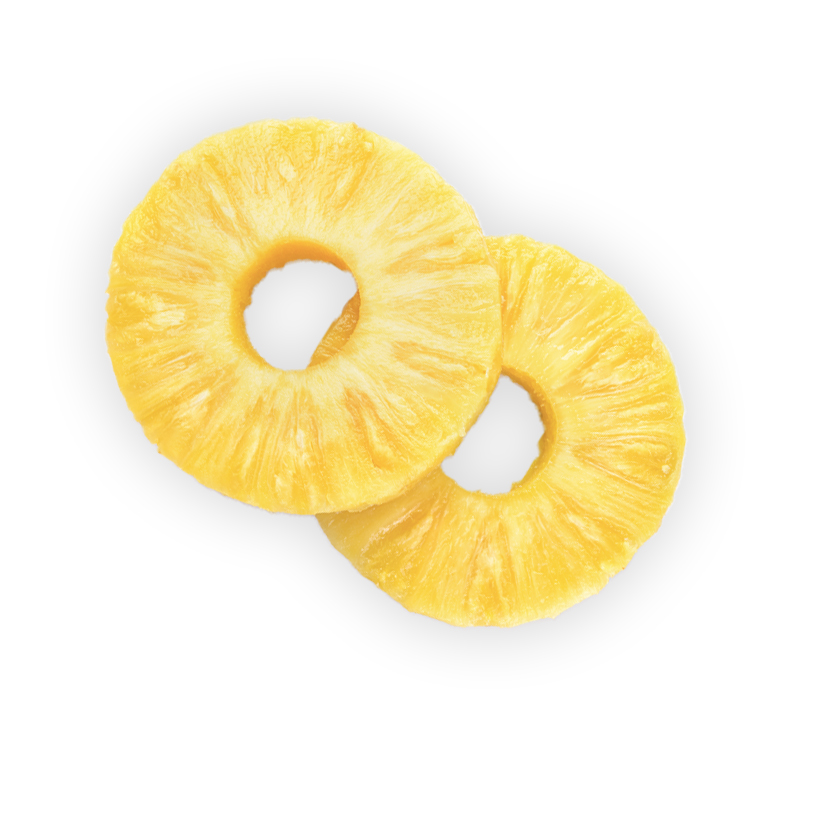 canned pineapple rings icon