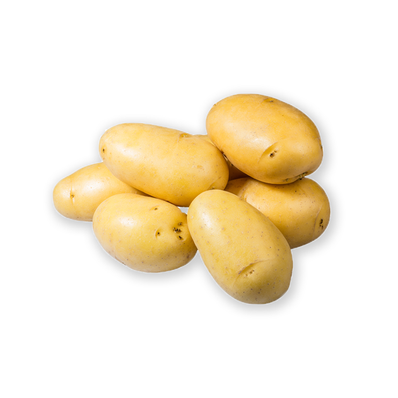 Yukon Gold potato icon