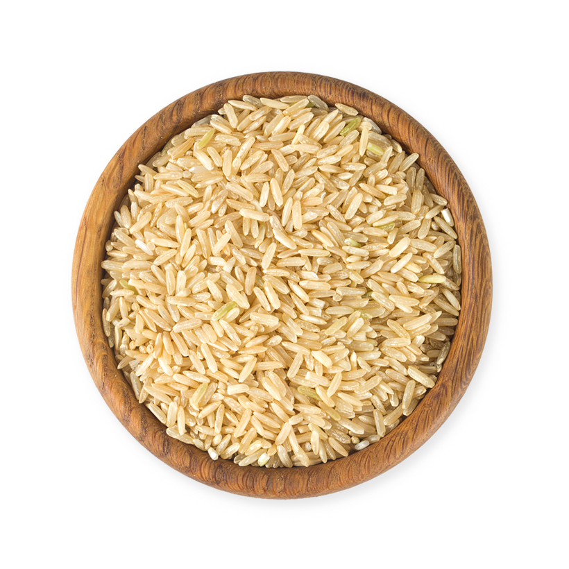 brown rice icon