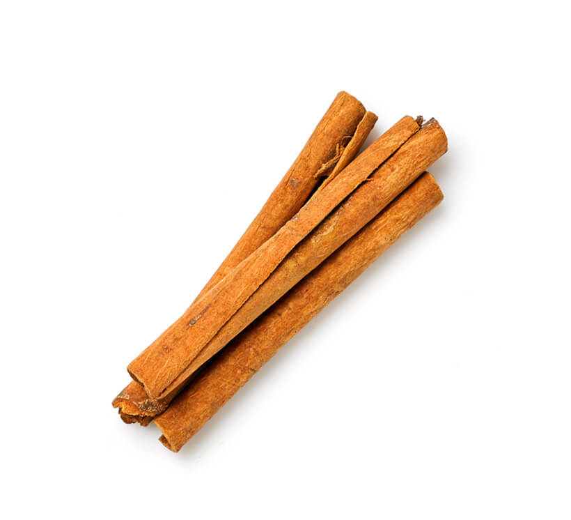 Zimtstange icon