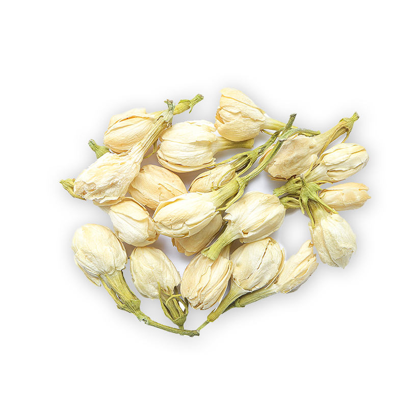 dried jasmine icon