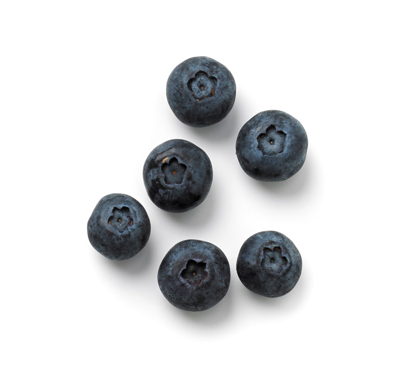 Heidelbeeren icon