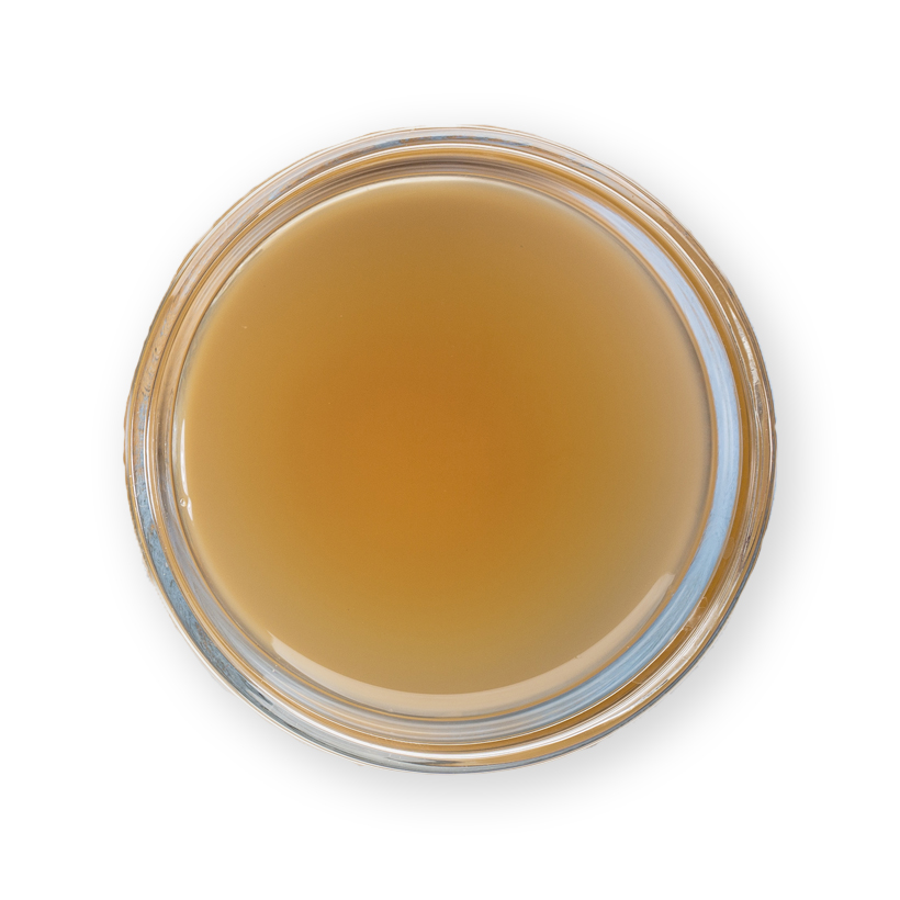 apple cider icon