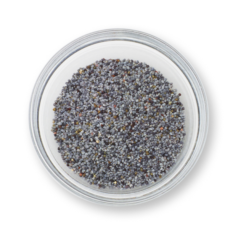 poppy seeds icon