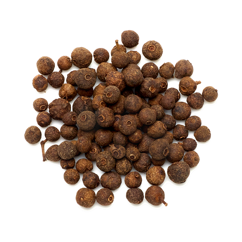 whole allspice berries icon