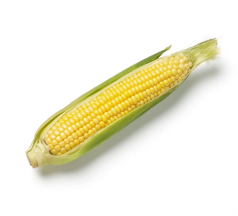Maiskolben icon