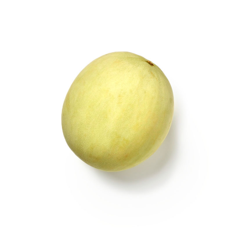 honeydew melon icon