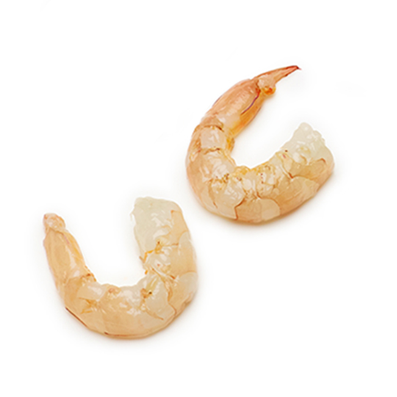 large shrimp icon