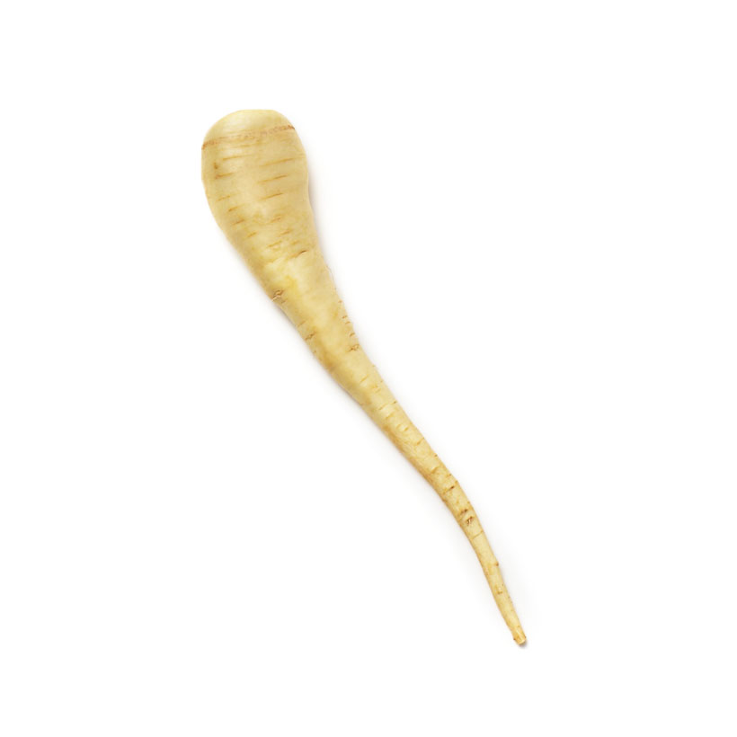 kleine Pastinake icon